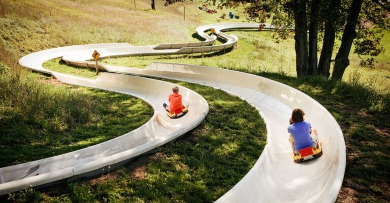 Cruise Down A Michigan Mountain At Your Own Pace On This Alpine Slide