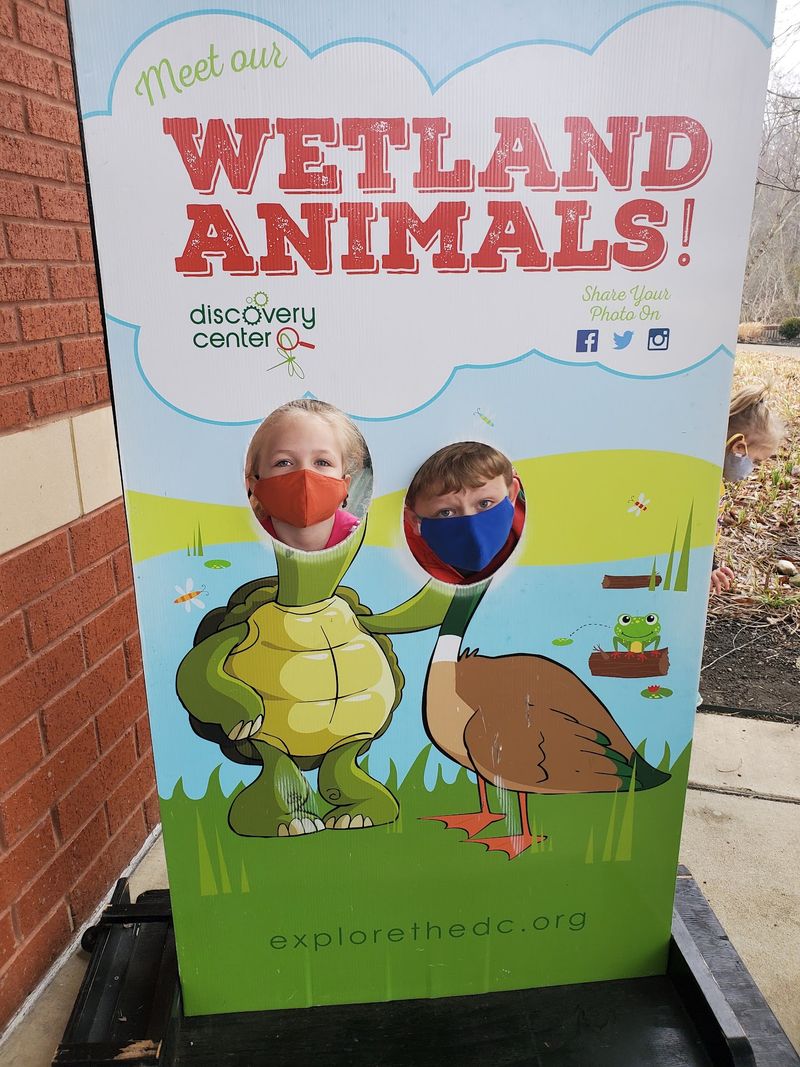 Wetland Trails Through 20 Acres Of Natural Beauty Wetland Trails Through 20 Acres Of Natural Beauty