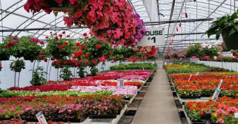 Dig Around This Michigan Garden Center For Cheap Pots And Garden Treasures