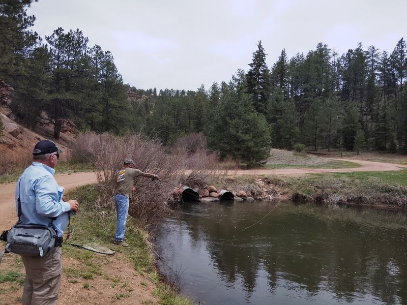 Rainbow Falls Mountain Trout Inc. (Woodland Park)