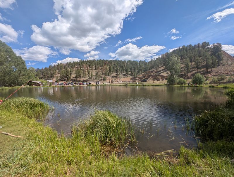 Rainbow Roundup Trout Ranch and Campground (Pine)