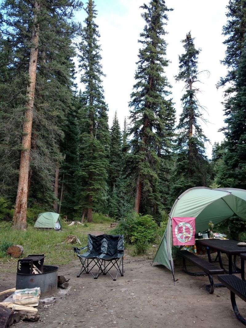 Big Cimarron Campground (Near Cimarron) Big Cimarron Campground (Near Cimarron)