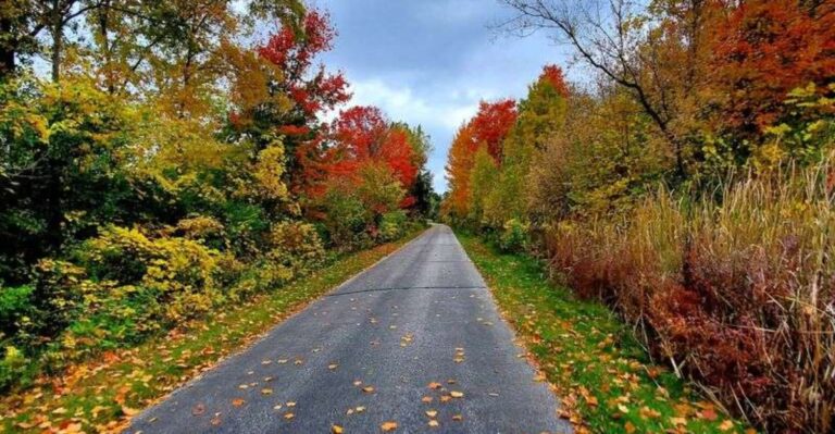 Ease Into The Outdoors On These 15 Michigan Trails Made For Beginners
