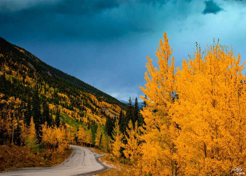 Guanella Pass (Georgetown to Grant)