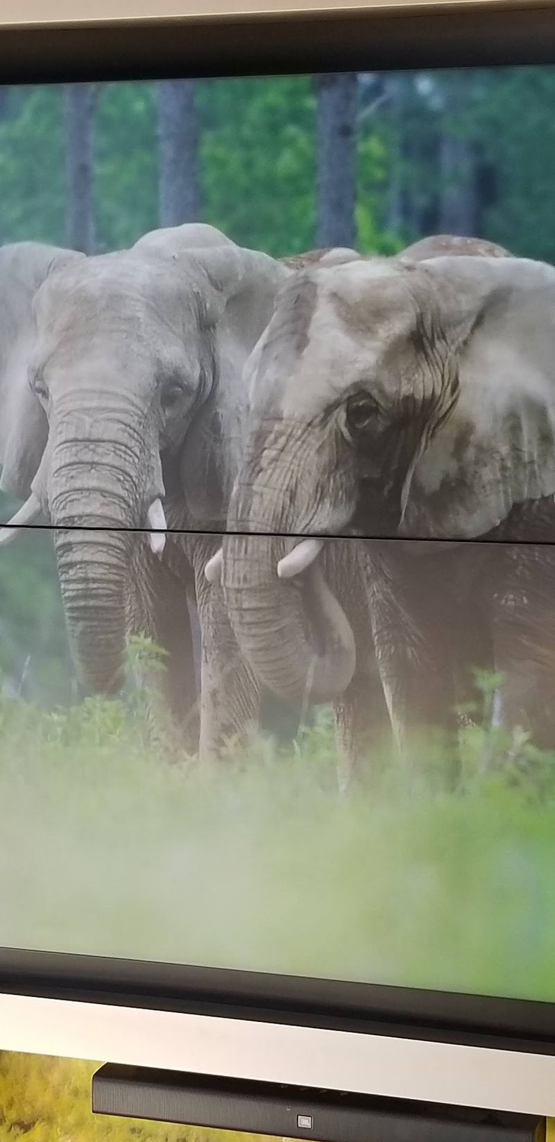 Real Impact on Elephant Welfare Real Impact on Elephant Welfare