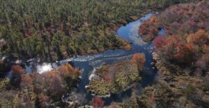Escape Into 120,000 Acres of Untamed Beauty in New Jersey