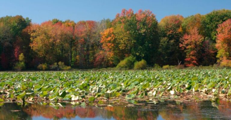 Escape To This Stunning Pennsylvania State Park That Feels Like A World Away From Everything