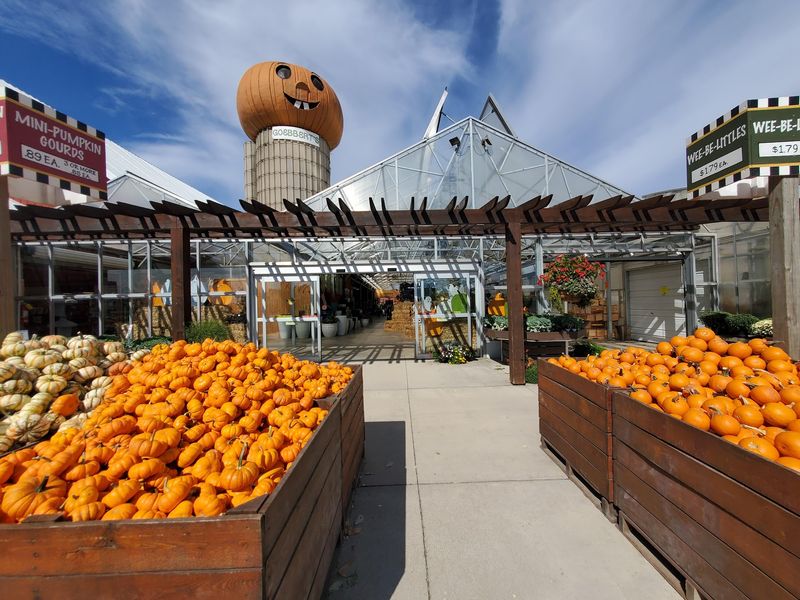 Browsing the Pumpkin Barn, Bakery, and Country Store