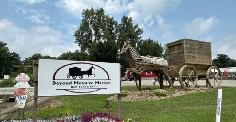 Few People Know Ohio Is Home To America’s Largest Horse & Buggy