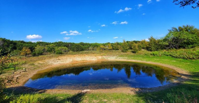 Few Texans Know One Woman’s Donation Helped Start the State Park System