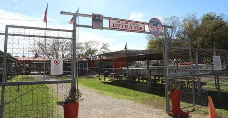 Get Up Close With Lemurs, Zebras, Camels And More At This Texas Wildlife Ranch