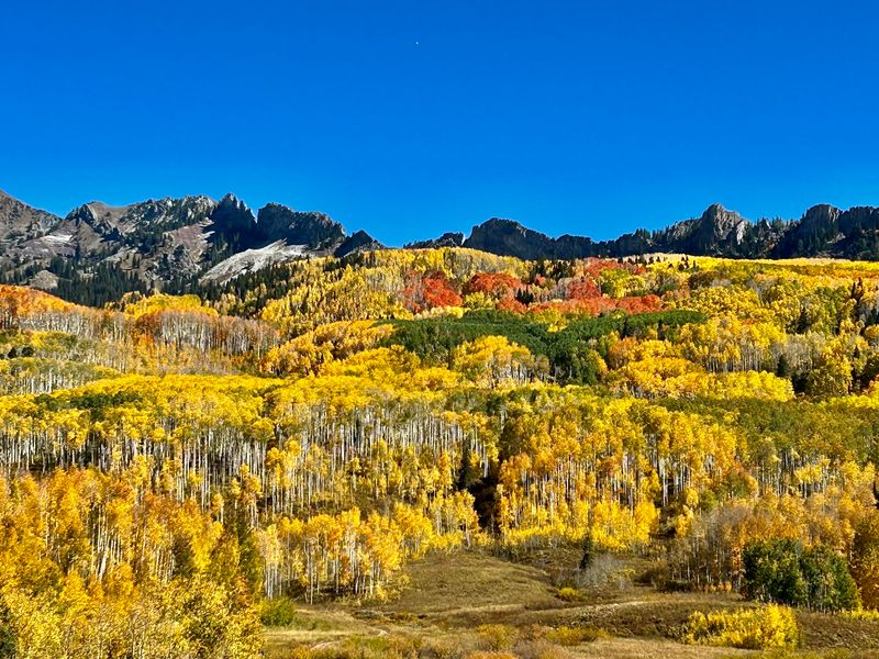 Kebler Pass (Near Crested Butte)