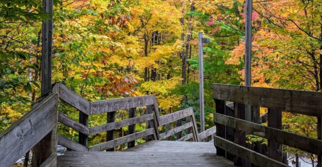 Head To 11 Michigan Places Where Fall Feels Truly Up North