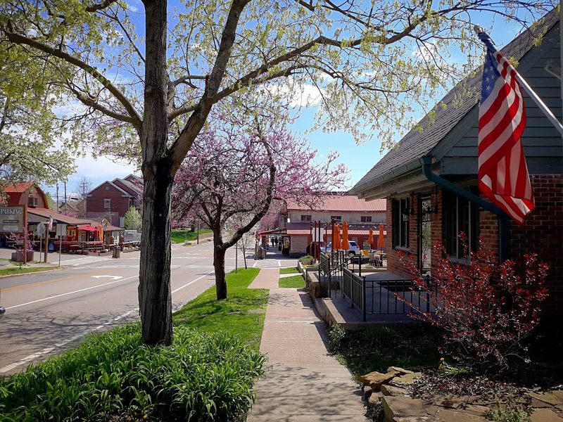 Nashville Village Streets and Artisan Shops (Nashville)