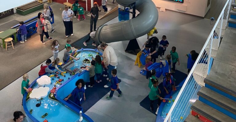 Kids Can Explore Hands-On Exhibits, Wetland Trails, And Wildlife At This Tennessee Museum