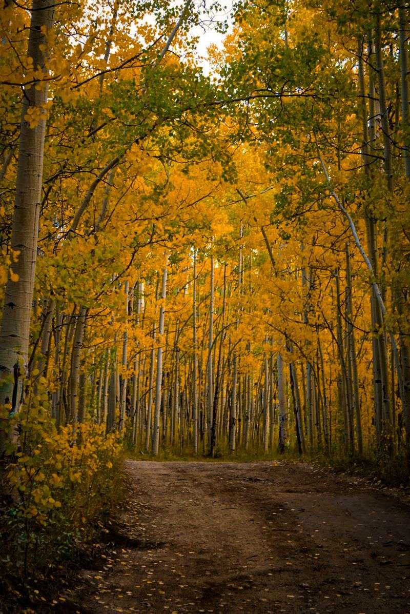 Kenosha Pass (Park County)