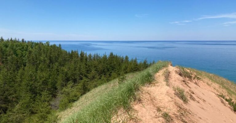 Late Summer Brings Extra Bear Awareness To These 13 Hiking Trails In Michigan’s U.P.