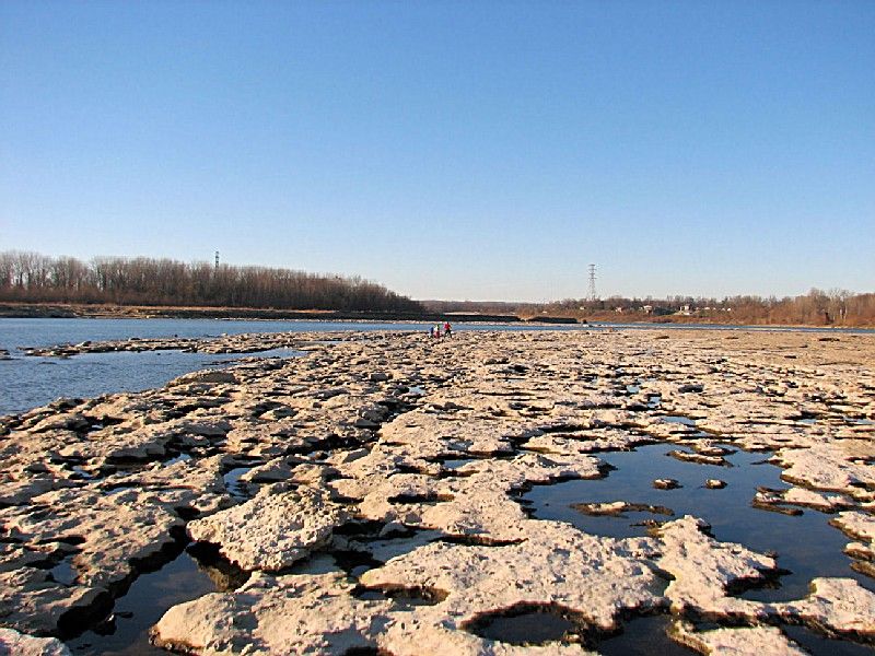 Falls of the Ohio State Park (Clarksville)