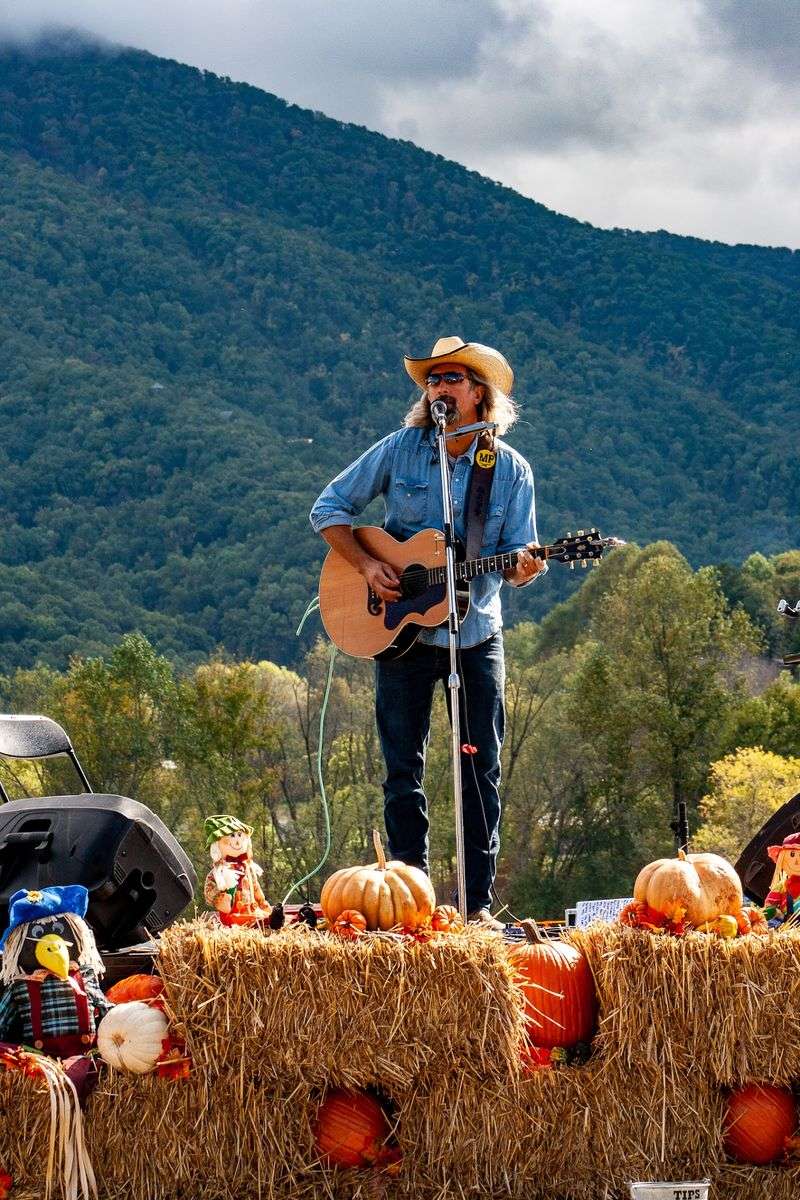 Live Music That Sets the Perfect Festival Rhythm