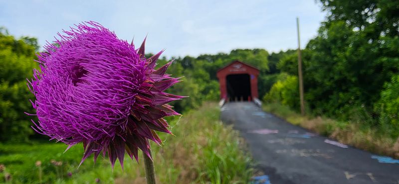 Why This Bridge Deserves Your Detour