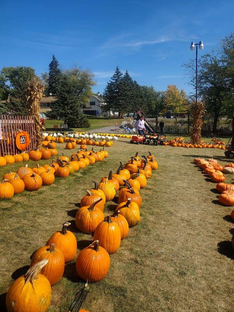 Puckerville Farms (Lemont) Puckerville Farms (Lemont)