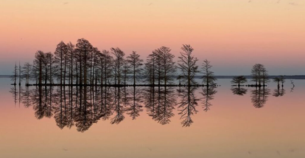 North Carolina’s Largest Natural Lake Is A Peaceful Wildlife Escape Most Road-Trippers Pass By