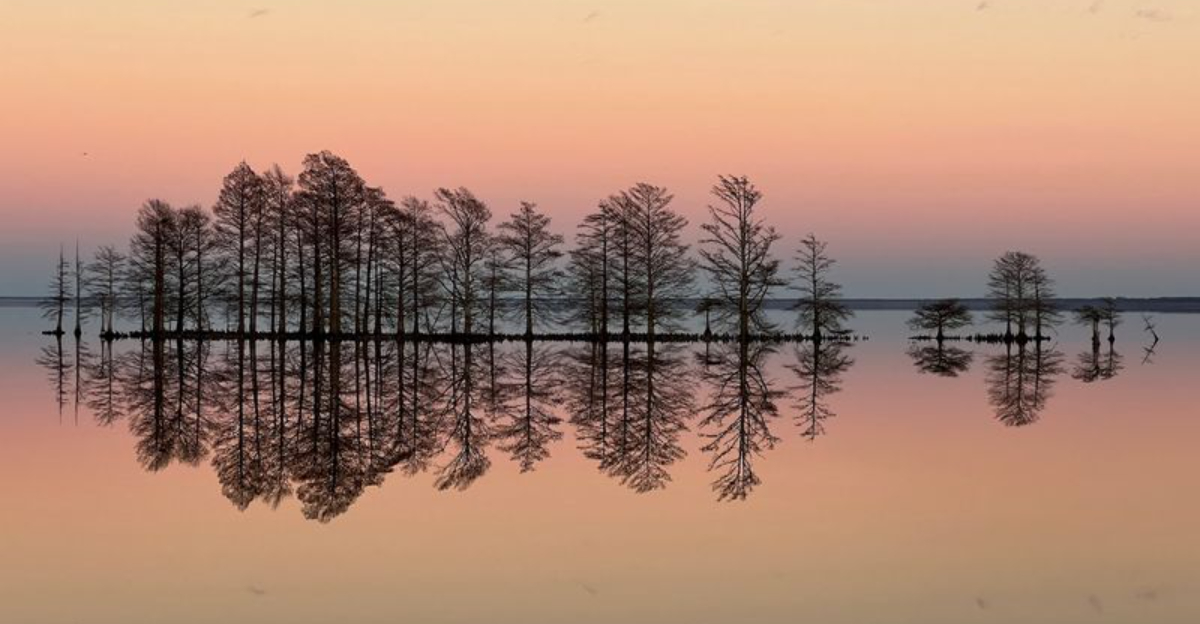 North Carolina’s Largest Natural Lake Is A Peaceful Wildlife Escape Most Road-Trippers Pass By