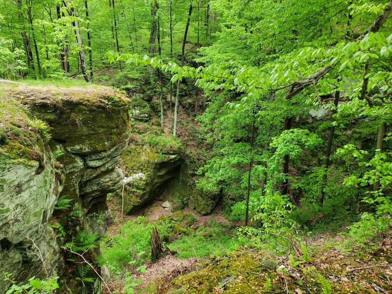 Fern Cliff Nature Preserve (Greencastle)