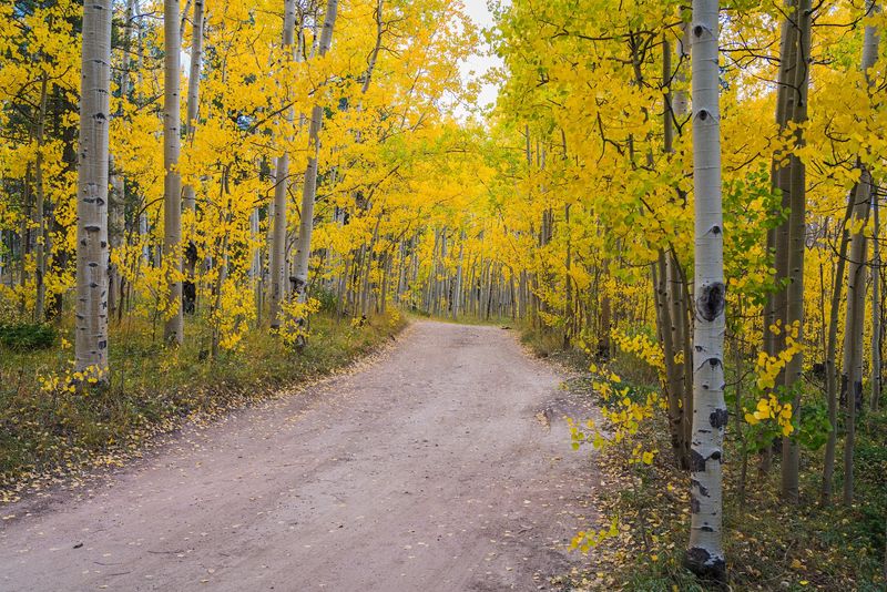 Kenosha Pass (Near Jefferson)