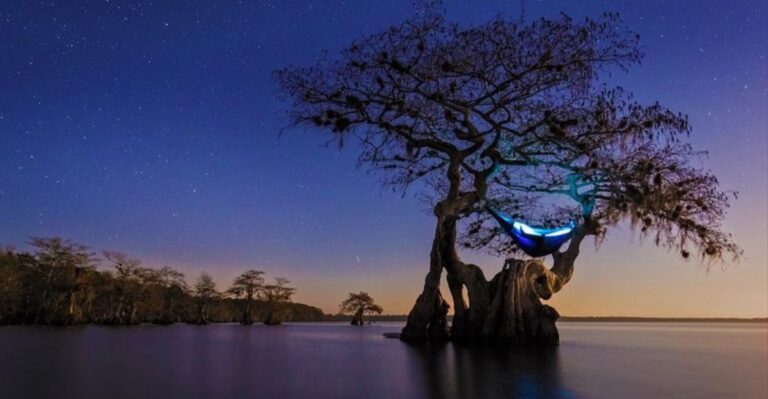 One Of Michigan’s Stunning State Parks Hosts A Massive Stargazing Festival This Month