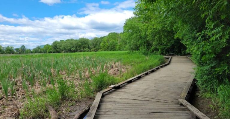 Our Dogs Had An Absolute Blast At These 11 Pennsylvania Walking Spots