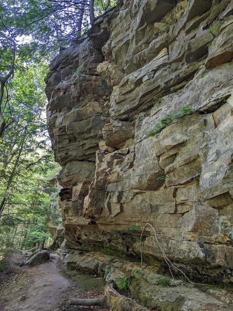 Green's Bluff Nature Preserve (Spencer)