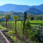 Pedal Along The Rails On This One-Of-A-Kind North Carolina Adventure
