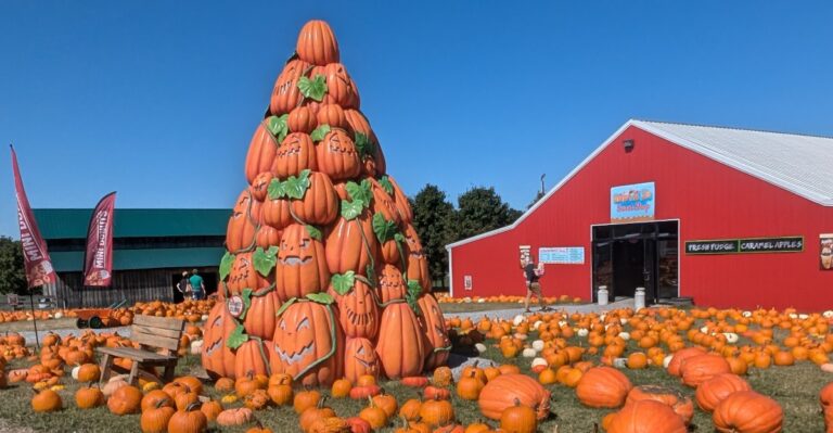 Plan A Fall Family Adventure At These 10 Wagon-Ride Pumpkin Farms In Tennessee