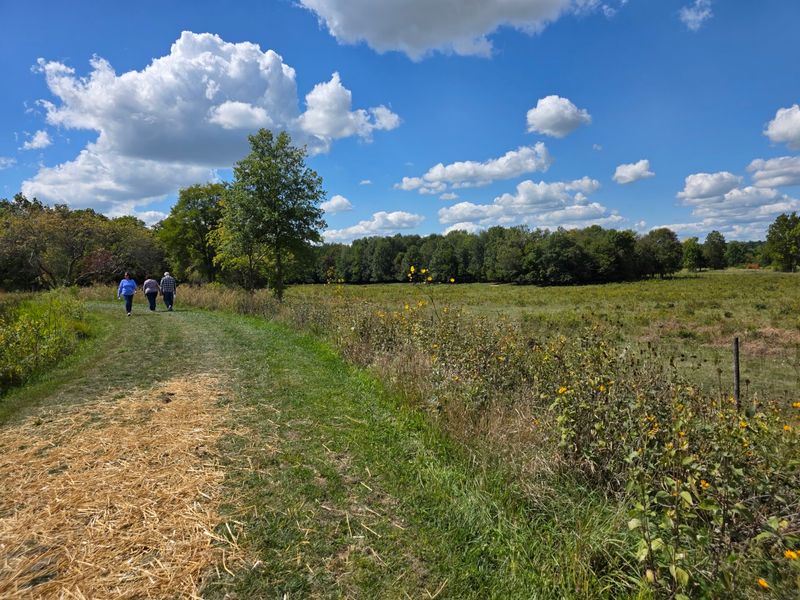 Indiana Trails With Wildflower Side Notes Indiana Trails With Wildflower Side Notes