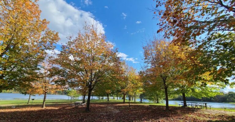 Rattlesnake Season Makes 10 Michigan Hiking Trails Trickier In September