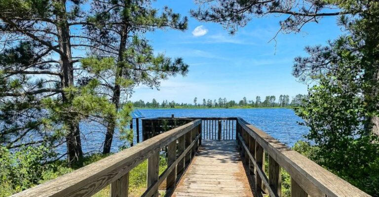 Roughly 200 Trumpeter Swans Live At This Peaceful Michigan Refuge You Can Visit Free