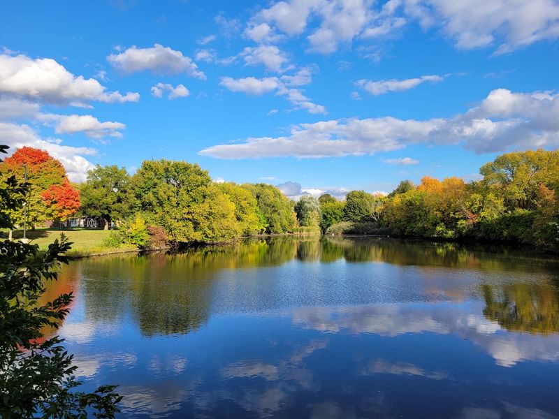 How to Build the Best Perry Farm Park Day How to Build the Best Perry Farm Park Day