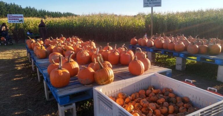 Spend a Slow Afternoon at This Picture-Perfect New Jersey Farm Market