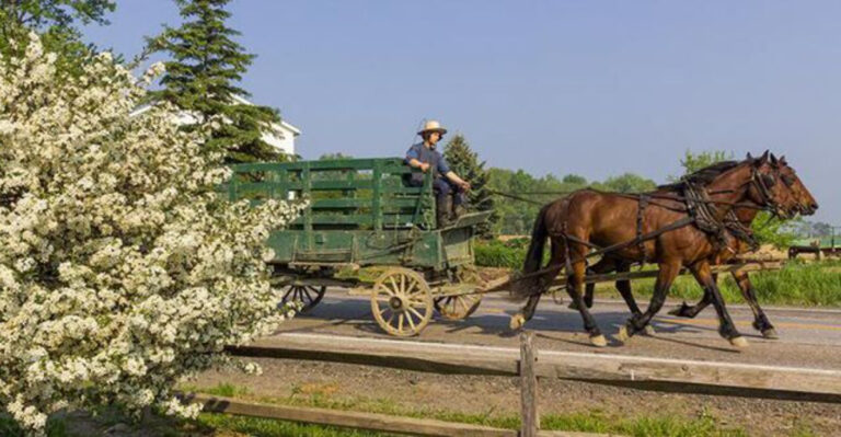 Step Back In Time Where Horse And Buggies Still Travel The Roads In This Ohio Town