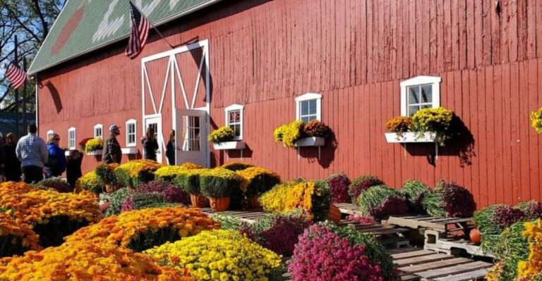 Sweet Fruit Comes With Sweeter Stories At These 11 Michigan Orchards