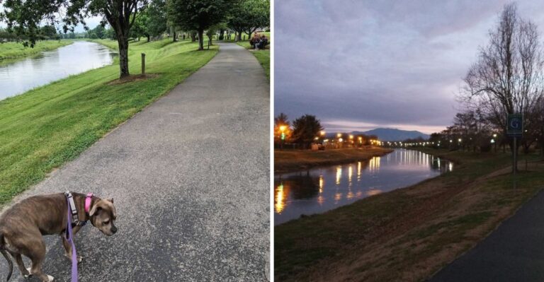 Tennessee Locals Love Starting Their Mornings On This Scenic Riverside Trail
