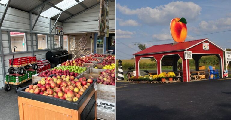 The Cash-Only Ohio Amish Market Filled With Groceries You Won’t Find At Most Stores