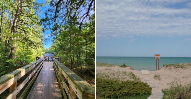 These 12 Dog-Friendly Wisconsin Destinations Are Worth A Tail-Wagging Road Trip