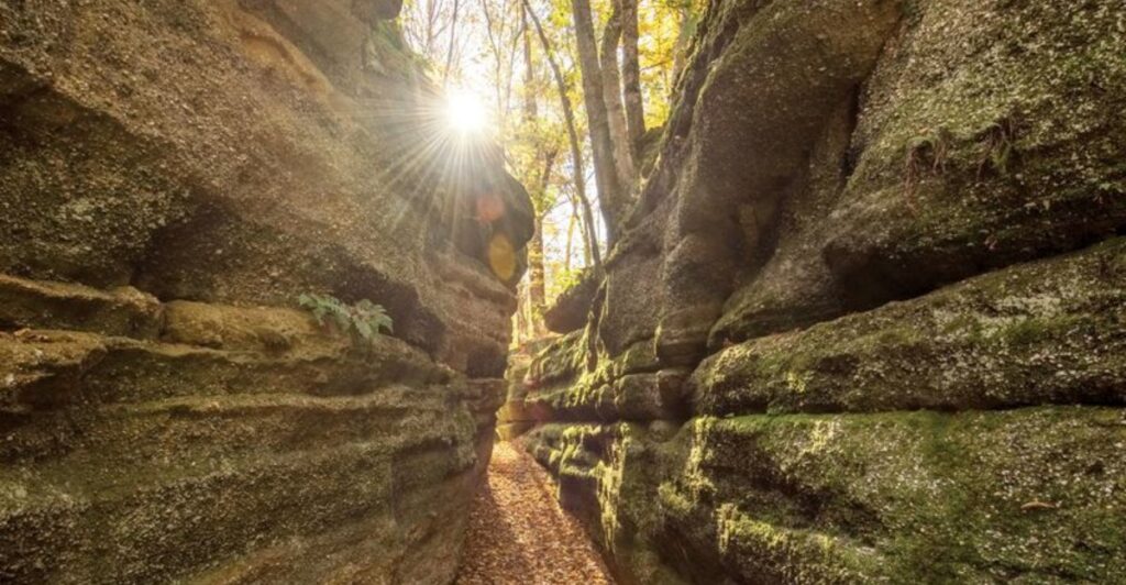 These 12 Ohio Parks Are Home To Some Of The Midwest’s Most Beautiful Walking Trails