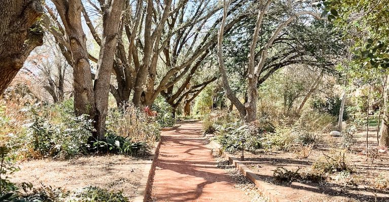 This 50-Acre Texas Garden Feels Like A Hidden Paradise With Waterfalls, A Chapel, And A Mini Train