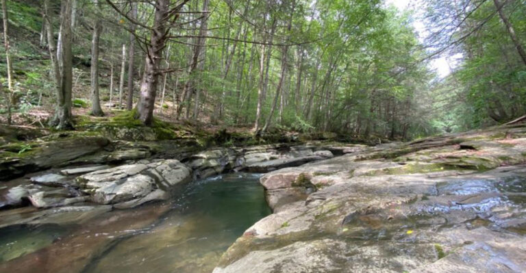 This Beautiful Pennsylvania Swimming Hole Is the Kind of Place You’ll Want to Visit in 2026
