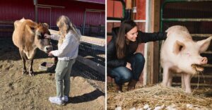 This Colorado Animal Sanctuary Lets You Meet Rescued Cows and Pigs on a Peaceful Fall Escape