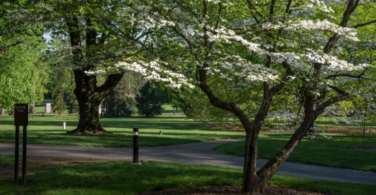 This Hidden Lancaster, Pennsylvania Arboretum Offers Rare Trees And Serene Walks For Free