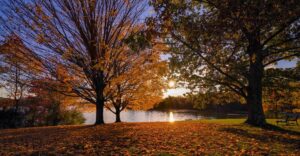 This Hidden Pennsylvania Park Is So Beautiful It Belongs In A National Geographic Feature